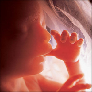 I am resolved to keep fighting in prayer for the unborn