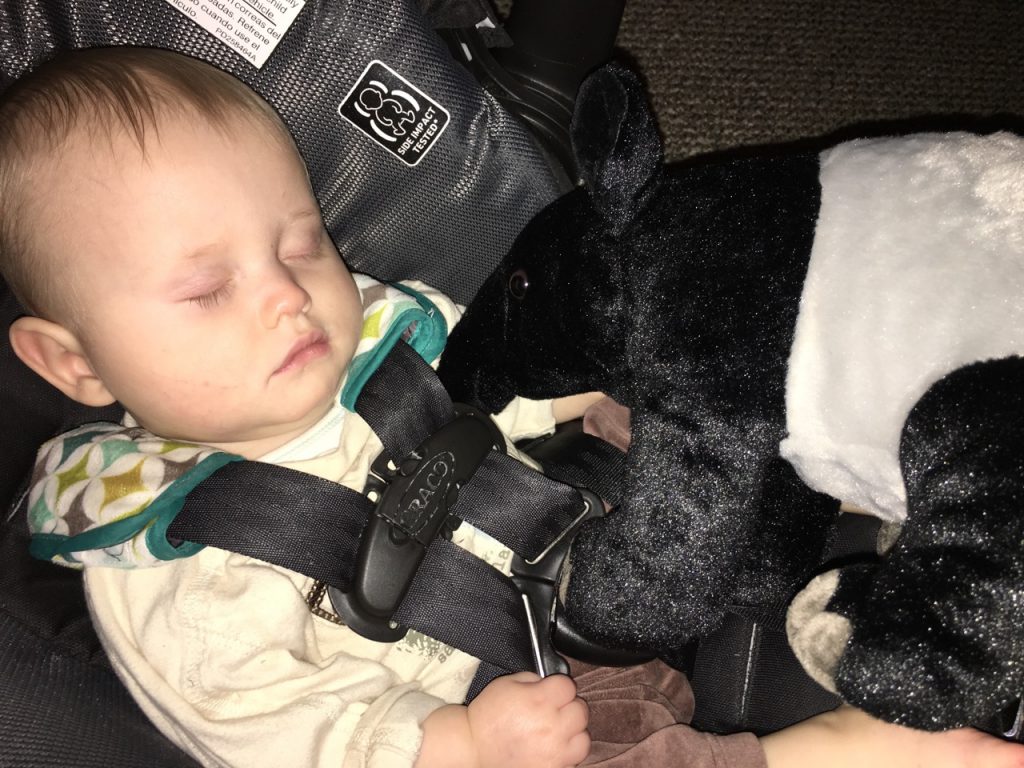 After a long day at the zoo, Jeremiah slept with his new friend “Tapir” 